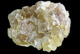 Lustrous Yellow Cubic Fluorite Crystal Cluster - Morocco #84303-1